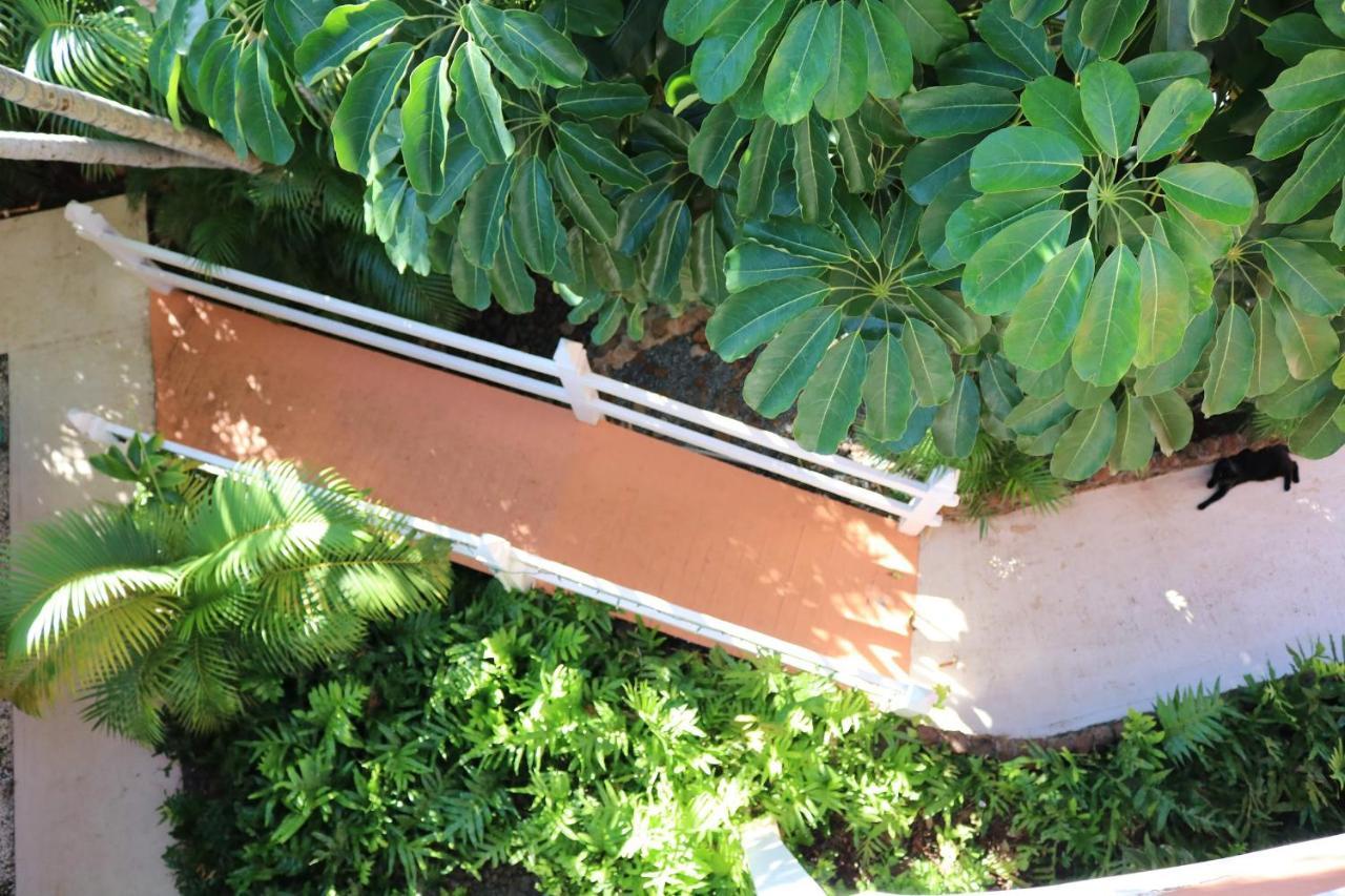 Maui Garden Oasis Villa Лахайна Екстериор снимка