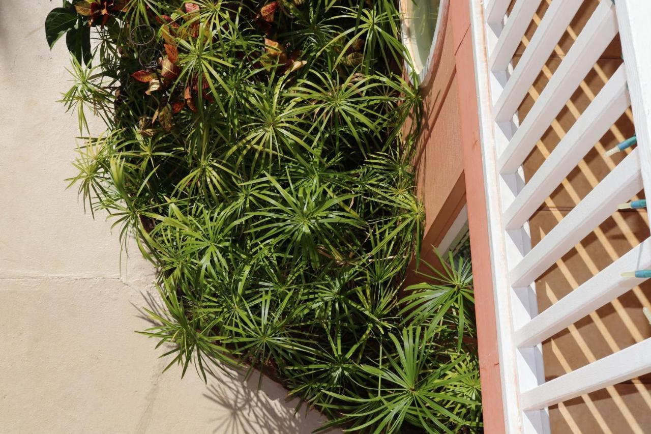 Maui Garden Oasis Villa Лахайна Екстериор снимка