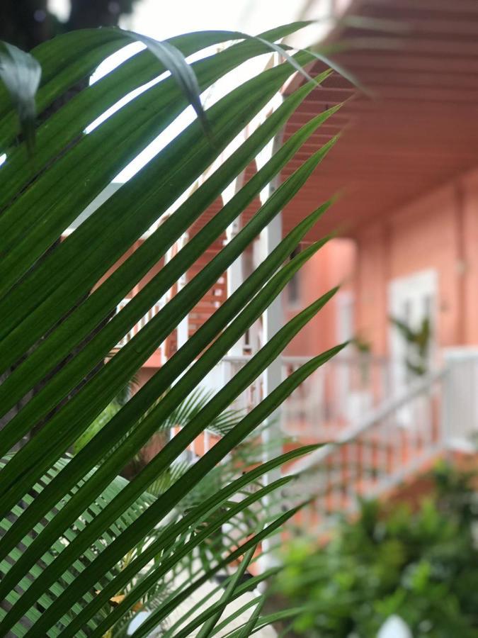 Maui Garden Oasis Villa Лахайна Екстериор снимка